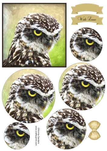 Owl Circle Stacker & Embellishments