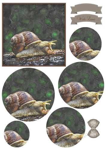 Snail Circle Stacker & Embellishments