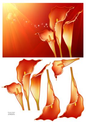 Stunning Sparkling Calla Lilies Card Front & Decoupage
