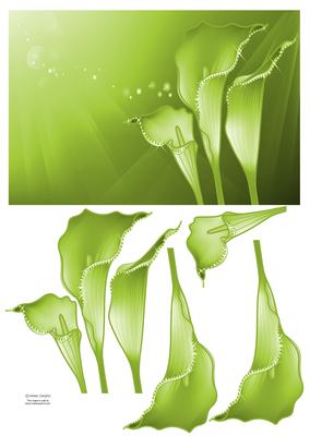 Stunning Sparkling Calla Lilies Card Front & Decoupage