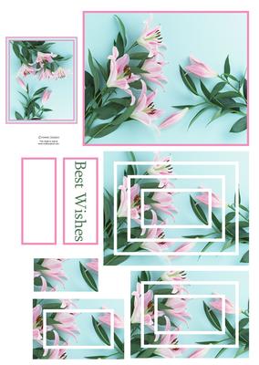 Gorgeous Pink Oriental Lily Concentric Pyramid