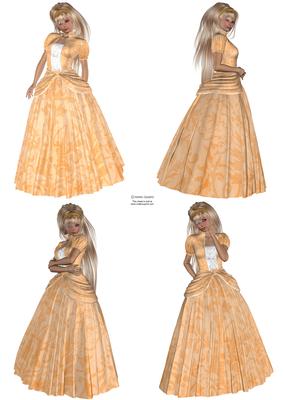Beautiful Ladies Dressed in Patterned Peach Princess Dresses