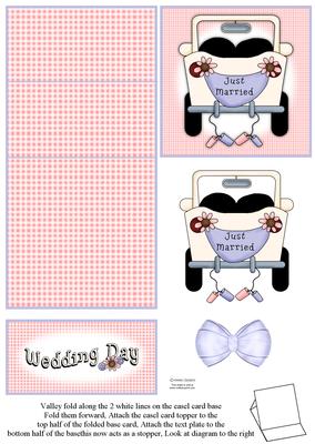 Just Married Wedding Car 5 Minute Easel Card