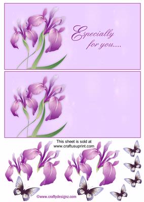 Purple and Lilac Floral Dl Card Fronts