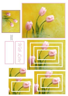 Gorgeous Pink Tulips Concentric Pyramid