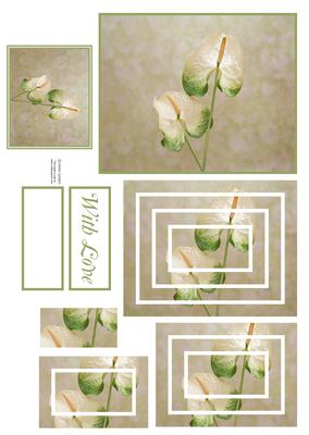 Delicate Floral Concentric Pyramid