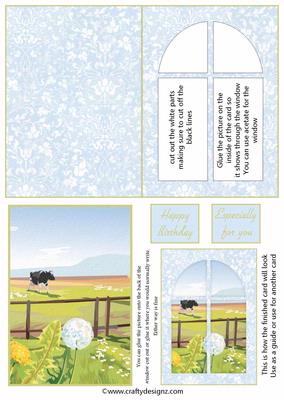 Sunny Medow Window Card Kit
