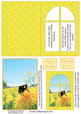Sunny Field Window Card Kit