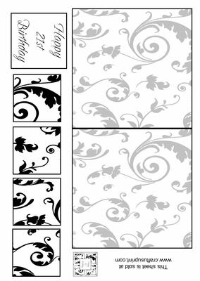 5x5 21st Birthday Black & White Card Kit