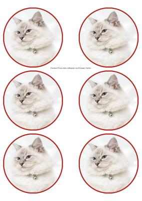 Xmas Cat Christmas Bauble Ornament