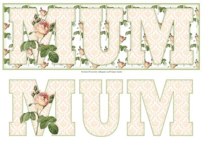 Stunning Mum Large Dl Card with Rose