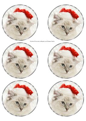 Xmas Cat Christmas Bauble Ornament