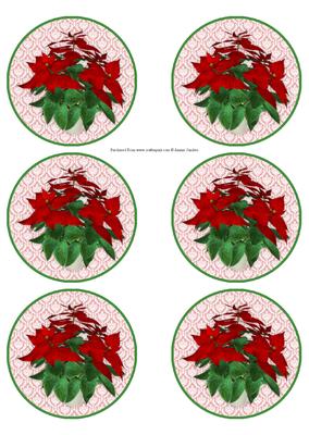 Xmas Pointsettia Christmas Bauble Ornament