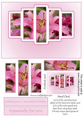 Brand New Gorgeous Flower Pyramid Panel Card Kit