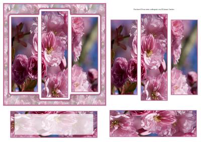 6x6" Japanese Flowering Cherry Panel Card