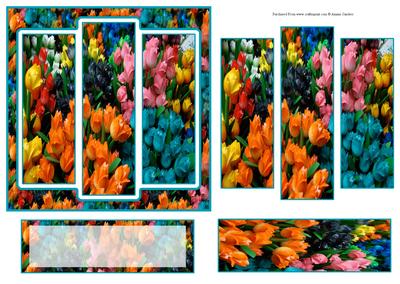 6x6" Amsterdam Tulips Panel Card