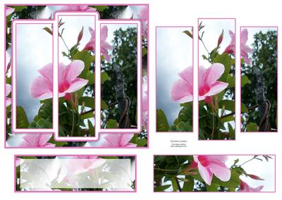 6x6" Stunning Floral Panel Card