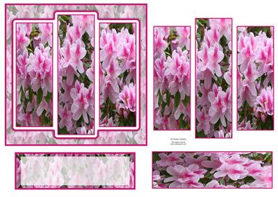 6x6" Stunning Rhododendron Pentanthera Blooms Panel Card