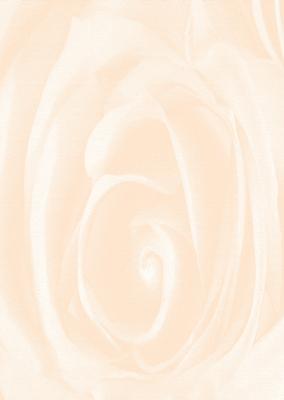 Subtle Shade Beautiful Rose Backing Paper