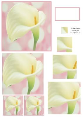 Beautiful Calla Lily Spiral Pyramid