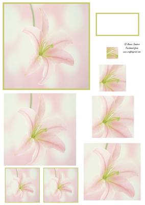 Beautiful Oriental Lily Spiral Pyramid