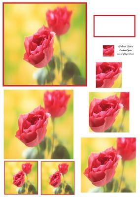 Beautiful Red Roses Spiral Pyramid