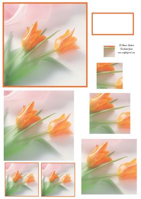 Beautiful Tulips Spiral Pyramid