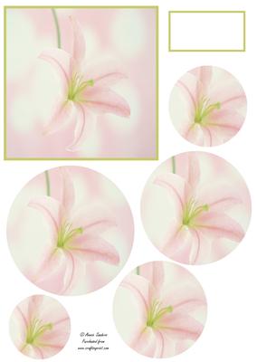 Beautiful Oriental Lily Circle Pyramid