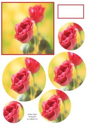 Beautiful Red Roses Circle Pyramid