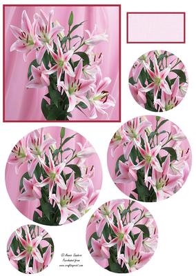 Beautiful Oriental Lilies Bouquet Circle Pyramid