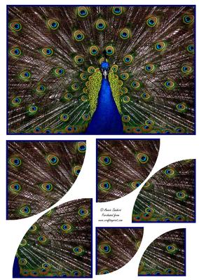 Stunning Peacock 2 Corner Stacker