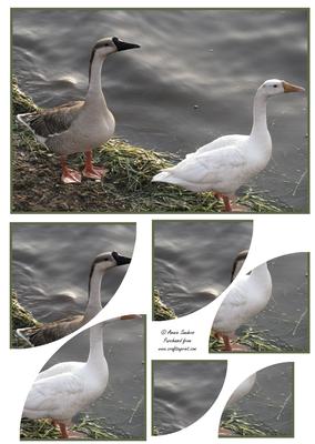Wild Geese by the Waters Edge 2 Corner Stacker