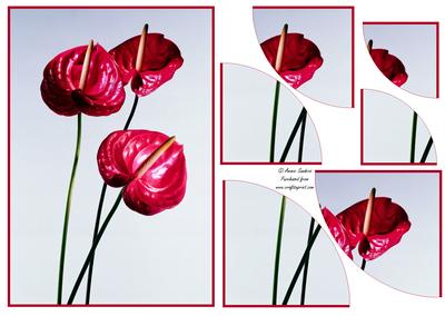 Stunning Floral 2 Corner Stacker