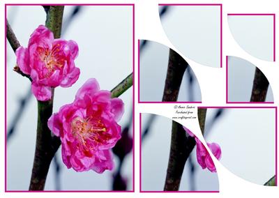 Stunning Floral 2 Corner Stacker