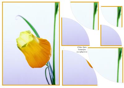 Stunning Floral 2 Corner Stacker