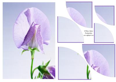 Stunning Floral 2 Corner Stacker