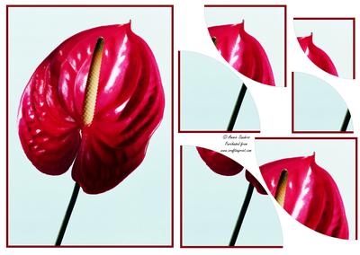 Stunning Floral 2 Corner Stacker