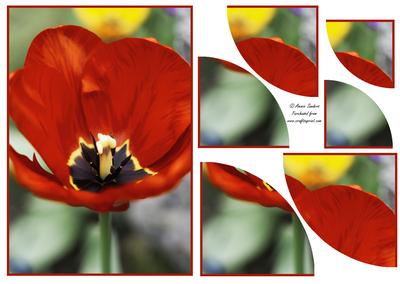 Beautiful Floral 2 Corner Stacker