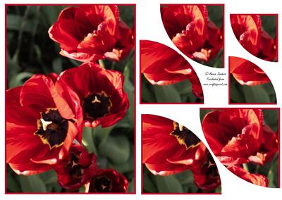 Beautiful Floral 2 Corner Stacker