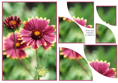 Beautiful Floral 2 Corner Stacker