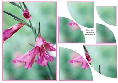 Beautiful Floral 2 Corner Stacker