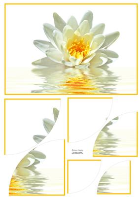 Stunning Floral 2 Corner Stacker