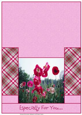 Stunning Deep Pink Poppies Stagger Fold Card