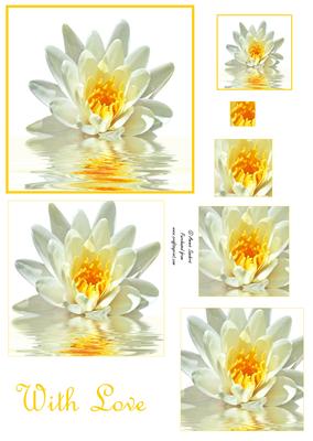Beautiful Water Lily Pyramid