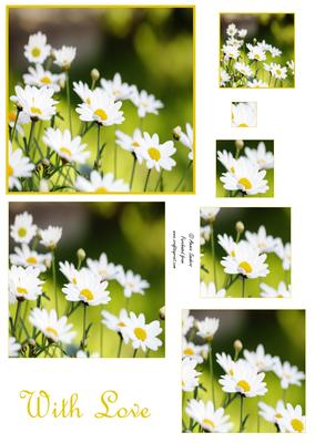 Dasies in the Meadow Pyramid