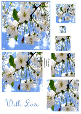 Pretty Sukura Flowers Pyramid