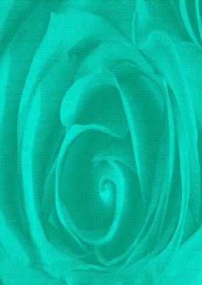 Bright Shade Beautiful Rose Backing Paper