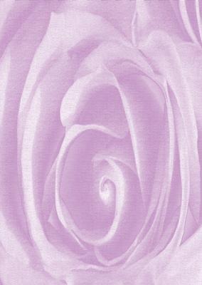 Bright Shade Beautiful Rose Backing Paper