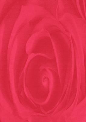 Bright Shade Beautiful Rose Backing Paper