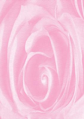 Bright Shade Beautiful Rose Backing Paper